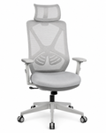 Maserati Ergonomic High-Back Mesh Chair