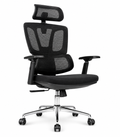 Bentley High-Back Ergonomic Mesh Chair